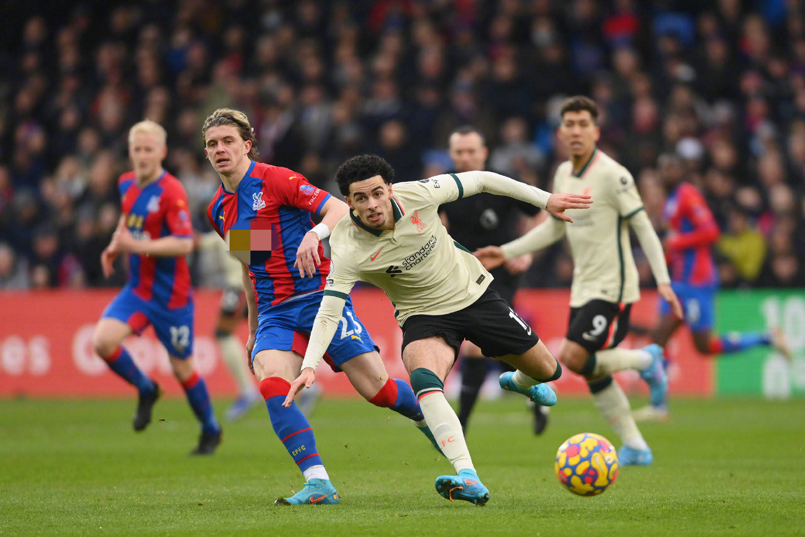 彩的一笔 彩的一笔